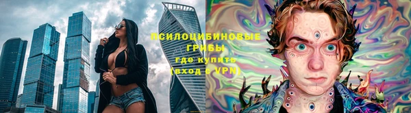соль курить ск Алзамай