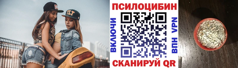 Псилоцибиновые грибы прущие грибы  Партизанск 