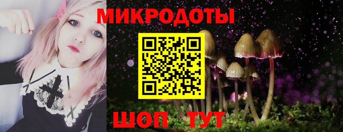 Партизанск  Псилоцибиновые грибы ЛСД  Вход с VPN  что такое наркотик  Псилоцибиновые грибы прущие грибы 